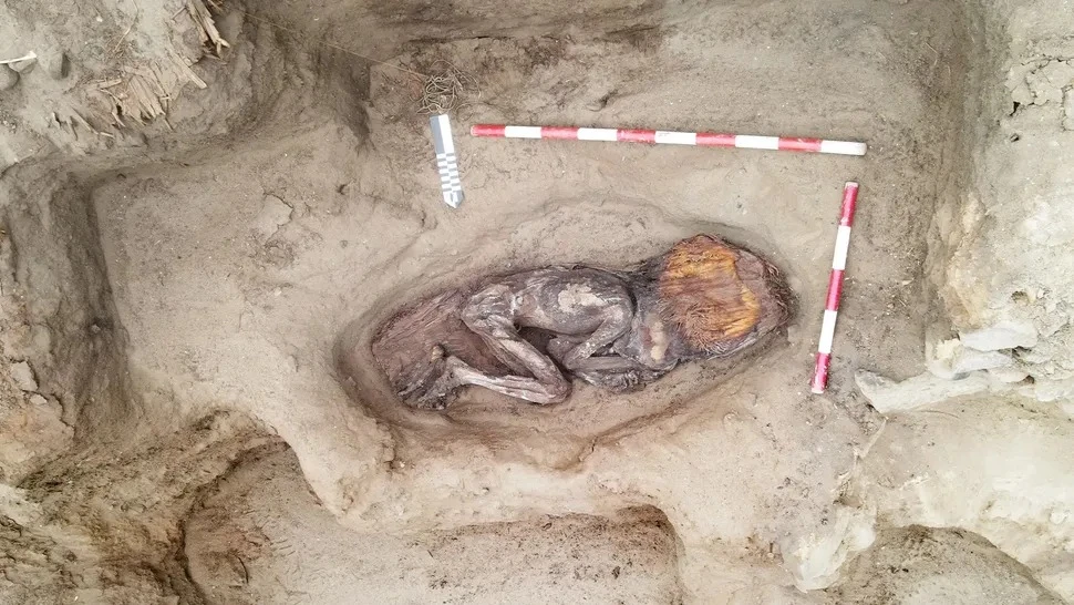 Khai quật mộ cổ 5.000 năm tuổi, thân thế chủ nhân gây sốc