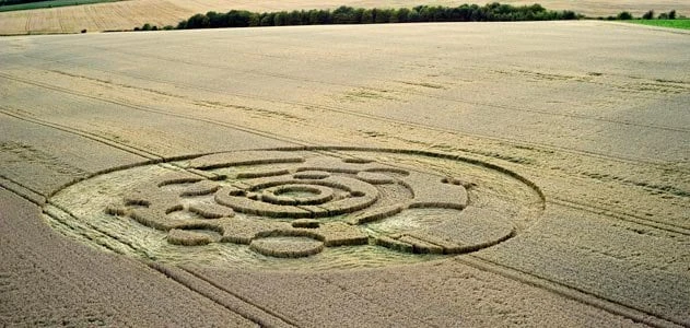 Sự thật về vòng tròn “ngoài hành tinh” từng gây xôn xao nước Anh