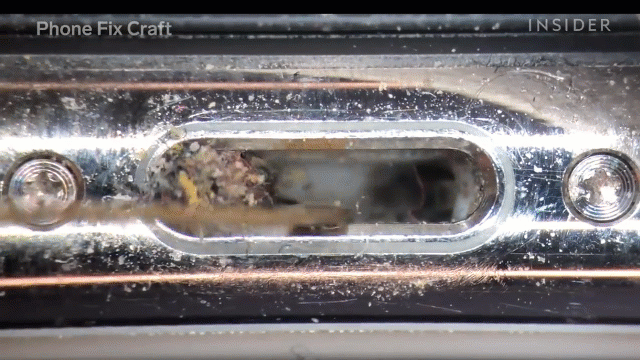 Video: Vệ sinh iPhone bẩn kinh hoàng gây bão mạng xã hội