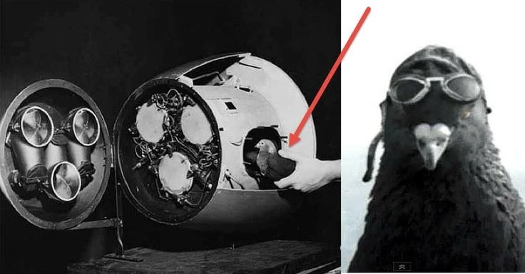 Sự thật ngỡ ngàng về hai dự án quân sự tuyệt mật của Mỹ