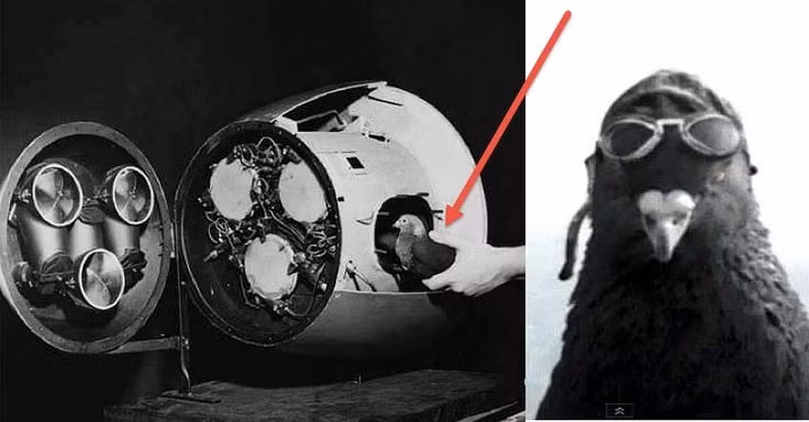 Sự thật ngỡ ngàng về hai dự án quân sự tuyệt mật của Mỹ