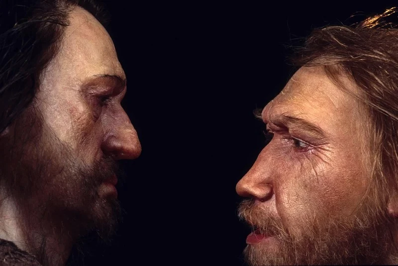Tìm thấy bằng chứng người Neanderthal giao phối với người hiện đại