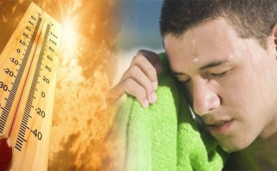 Lý do con người đổ mồ hôi nhiều trong những ngày nóng