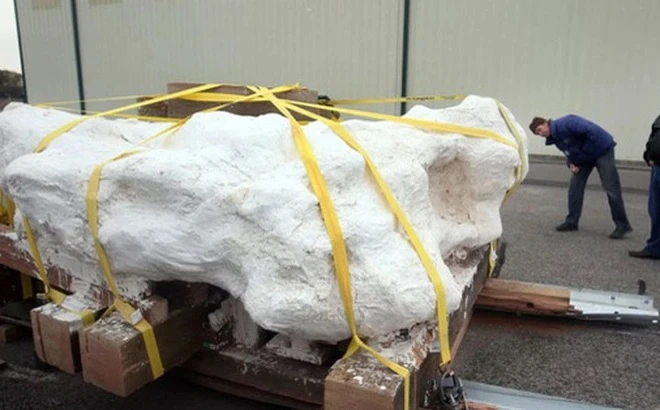 Kỳ bí khối đá nặng 9 tấn, bên trong lúc nhúc "quái vật"