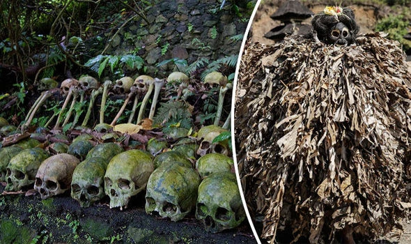 Rùng mình “đảo sọ người” quái gở nhất hành tinh