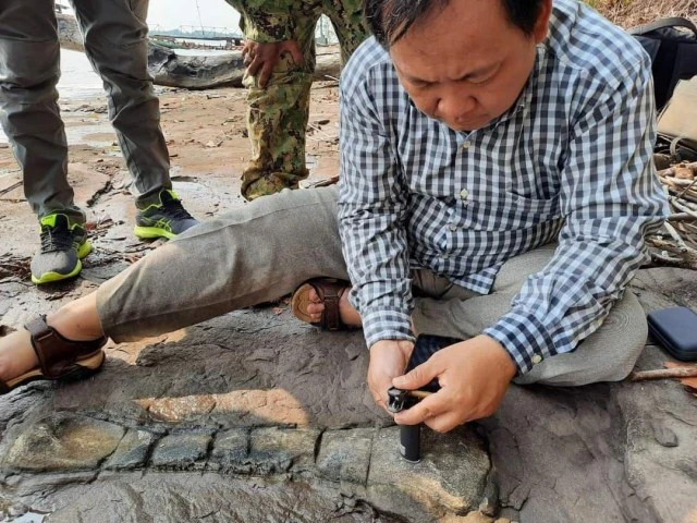 Kinh ngạc quái thú khổng lồ 190 triệu tuổi lộ diện ở Campuchia