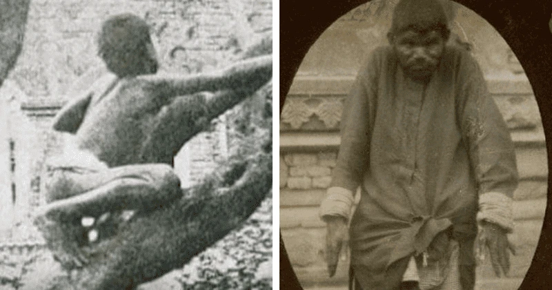 Cuộc đời chàng trai “người rừng” được sói nuôi dưỡng