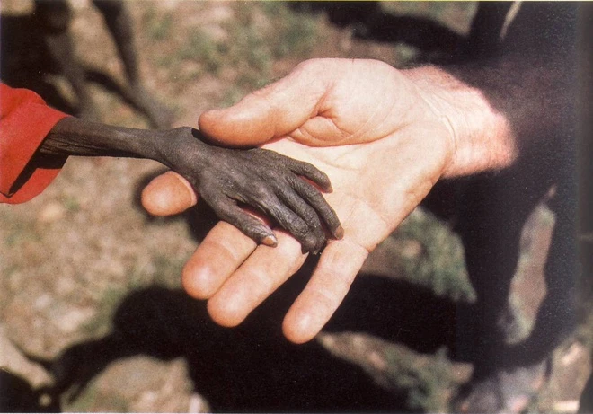 10 bức ảnh lịch sử khiến nhân loại "rụng tim" 