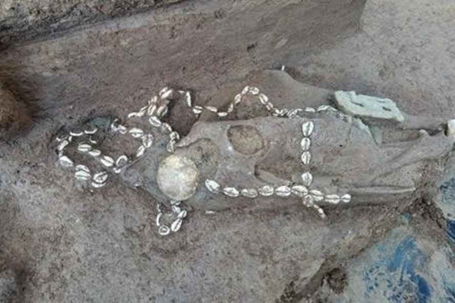 Khai quật mộ cổ xa hoa, chuyên gia tái mặt thấy thứ bên trong