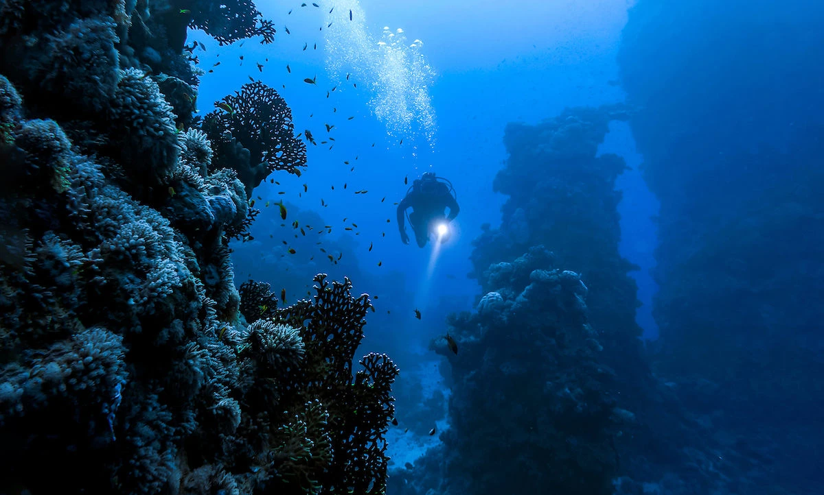 Sửng sốt bí mật giấu kín ở địa điểm sâu nhất trên Trái đất