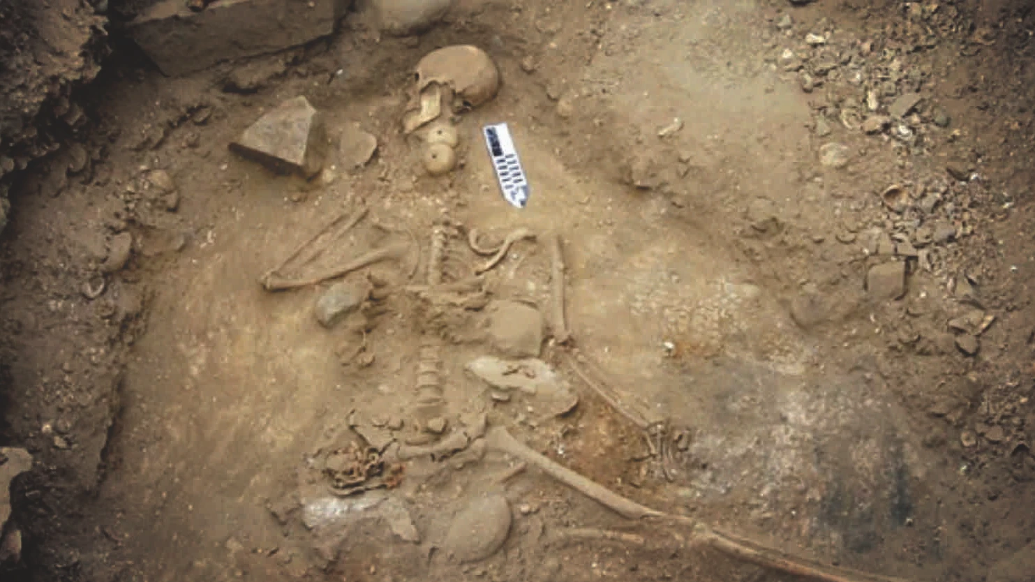 Khai quật hài cốt 5.000 tuổi, chuyên gia sững người thấy chi tiết lạ