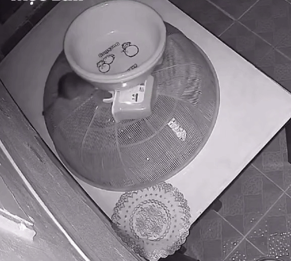 Thay long ban bi xe dich, chu nha kinh hai khi kiem tra camera