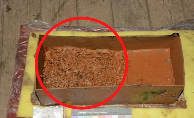 Mở lăng mộ bị ngấm nước, chuyên gia ngã quỵ thấy "thứ ngàn vàng"