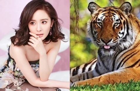 3 con giáp tài vận trên đà rực rỡ, quý nhân thần Tài tề tựu tương trợ năm 2020