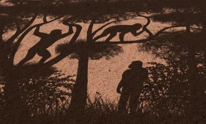 Phát hiện hài cốt người 7 triệu tuổi: Lịch sử phải viết lại!