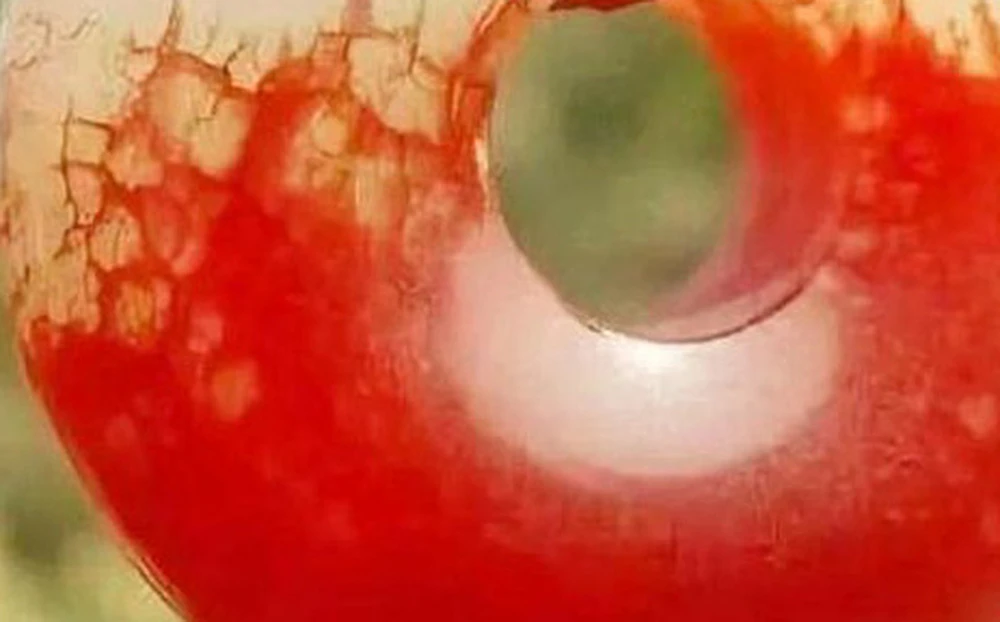 Khai quật mộ cổ, chuyên gia tái mặt vì khối huyết ngọc "ma quái"