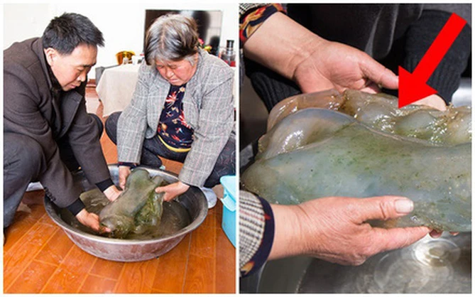 Thấy vật thể lạ bầy nhầy, vỡ òa nhận ra là báu vật 31 tỷ