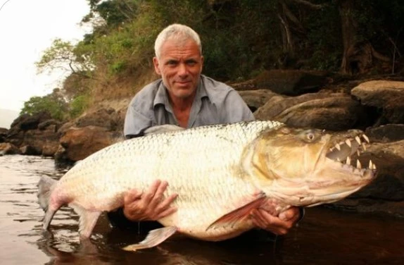 "Quái ngư" hung dữ răng sắc như dao cạo, xơi tái cả cá sấu