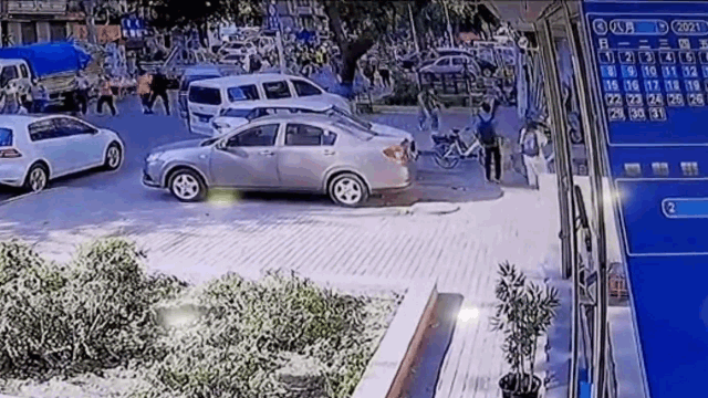 Video: Cây cổ thụ bất ngờ bật gốc, đè trúng cô gái đi bộ