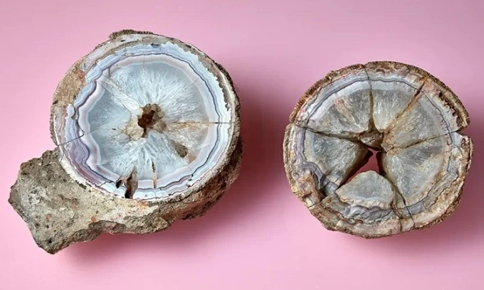 Phát hiện trứng khủng long 60 triệu năm chứa "báu vật" khó tưởng