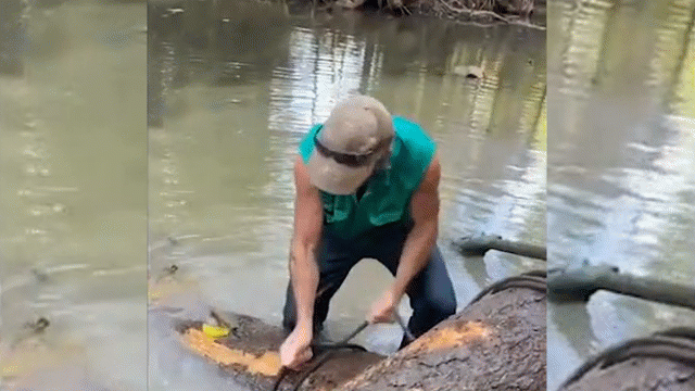 Clip: Cá sấu lao đến định đớp, người đàn ông ấn đầu đuổi đi Clip: Ca sau lao den dinh dop, nguoi dan ong an dau duoi di