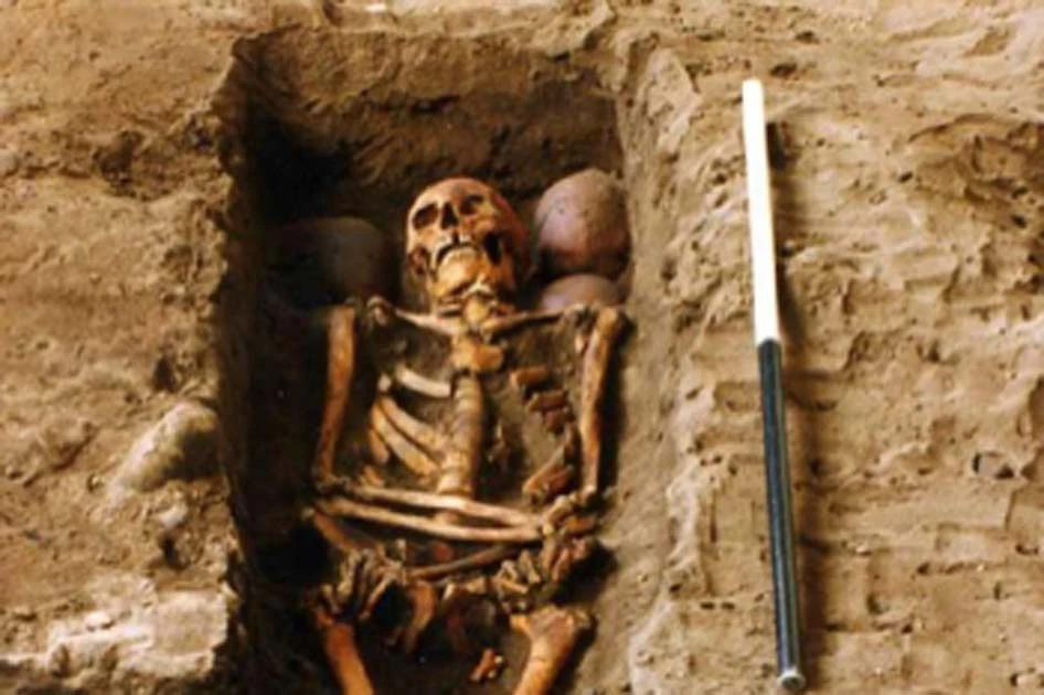 Cảnh tượng choáng sốc trong ngôi mộ chứa hài cốt 6 hộp sọ