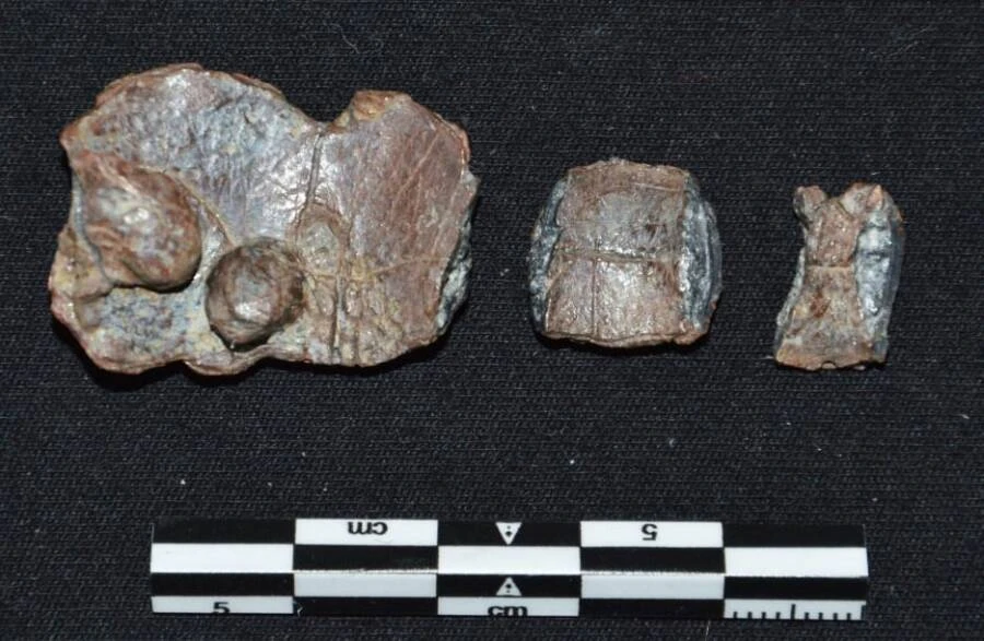 Sốc nặng sự thật về 30 tấm bia khắc lời nguyền ở Hy Lạp