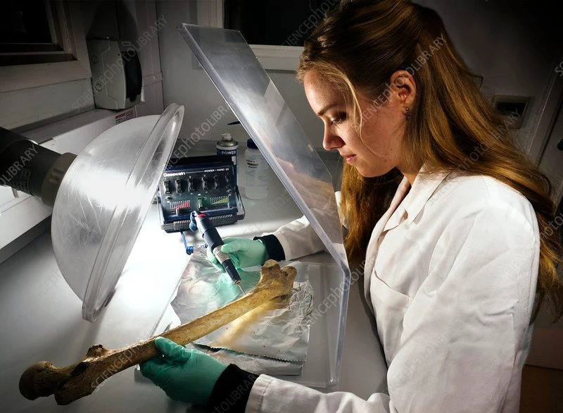 Giải mã "bảo bối" nổi tiếng xác định niên đại cổ vật nghìn tuổi 