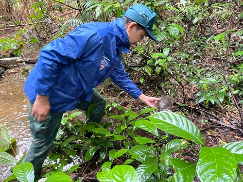 10 cá thể động vật ở Quảng Bình quý sao được thả về tự nhiên?