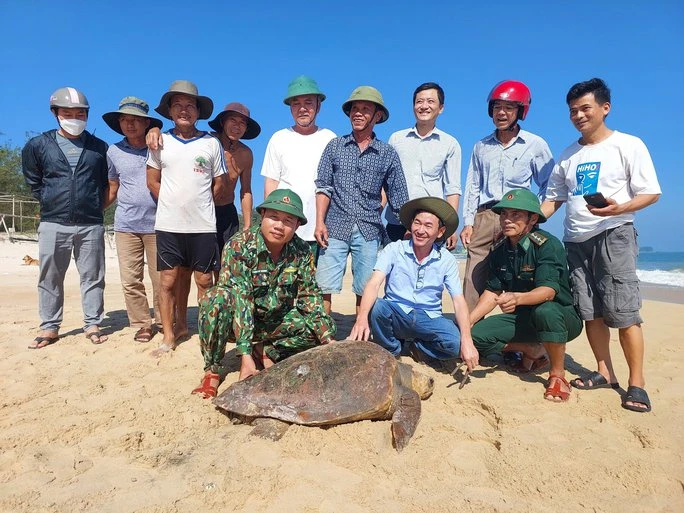 Cá thể Vích siêu hiếm mắc lưới, dân thả ngay về biển Quảng Trị