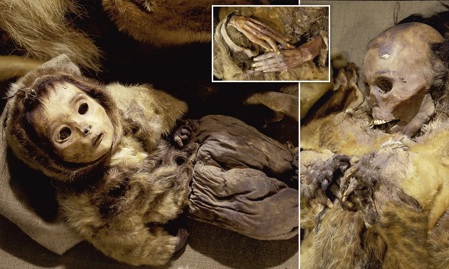 Rùng mình xác ướp khoảng 500 tuổi bị chôn sống theo mẹ 