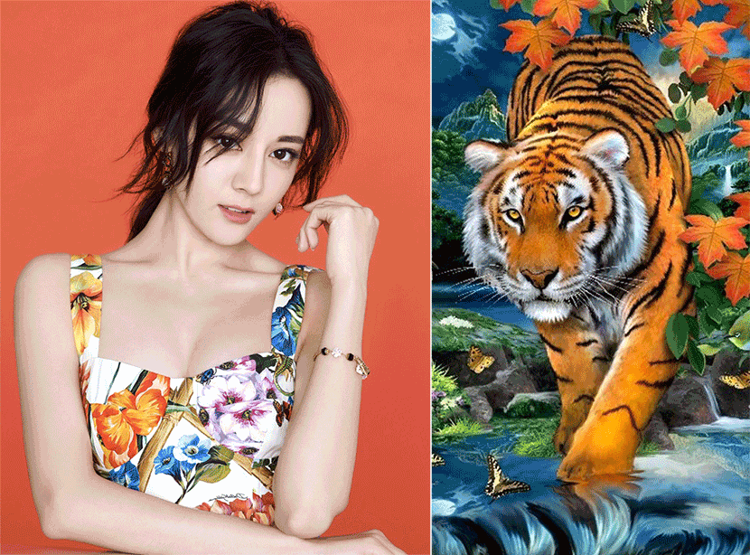 Tuổi Dần: Trời sinh những người tuổi Dần được các vị thần may mắn chiếu cố nồng hậu cuộc sống cực kỳ thăng hoa, phát tài. Đặc biệt, trong thời gian này những người tuổi Thân sẽ đạt được những mục tiêu mà bản thân đã đặt ra.