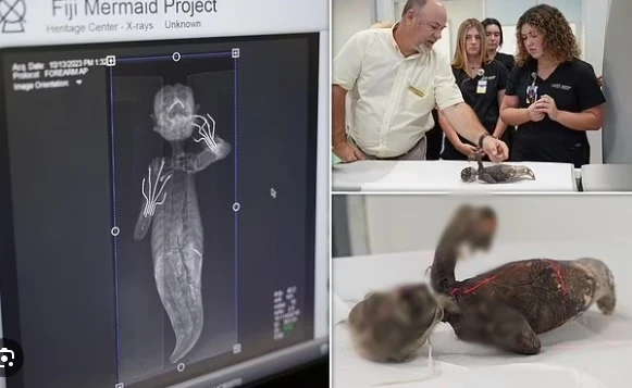 Chụp CT, lộ sự thật ngỡ ngàng về xác ướp “nàng tiên cá” Nhật Bản