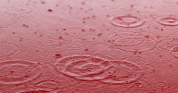 Sửng sốt trận "mưa máu" chấn động thế giới năm 2001 