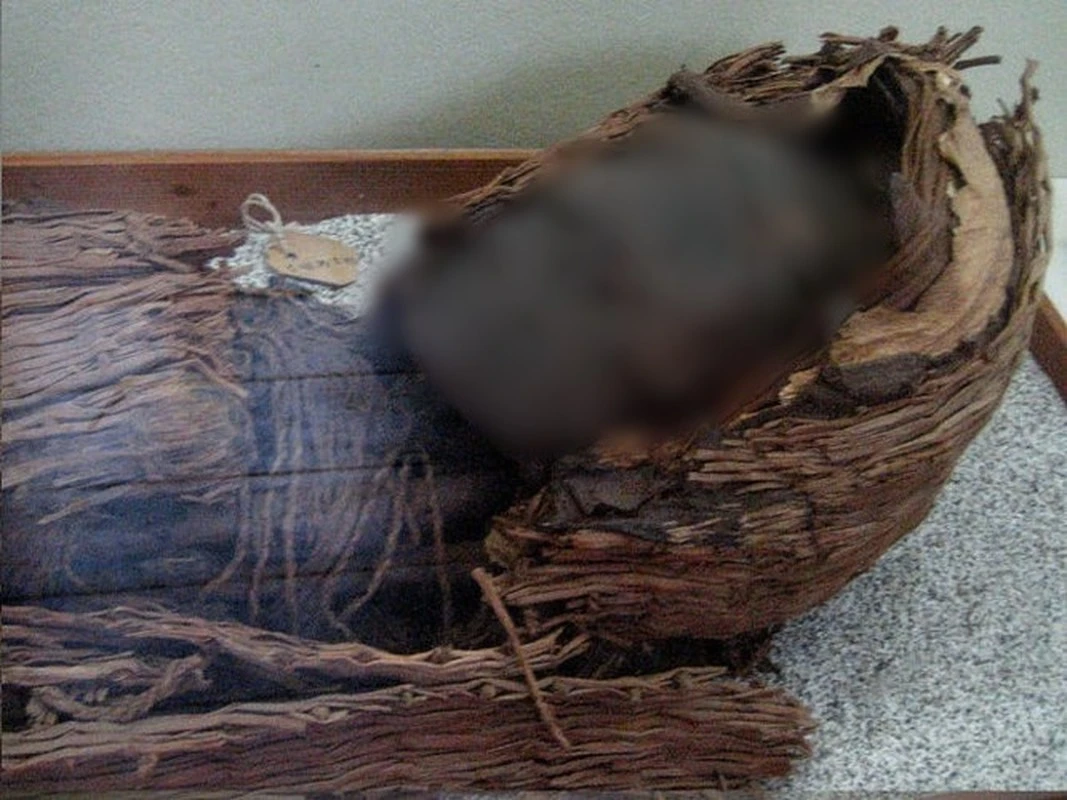 Loạt xác ướp cổ nhất hành tinh trước bờ vực bị phá hủy