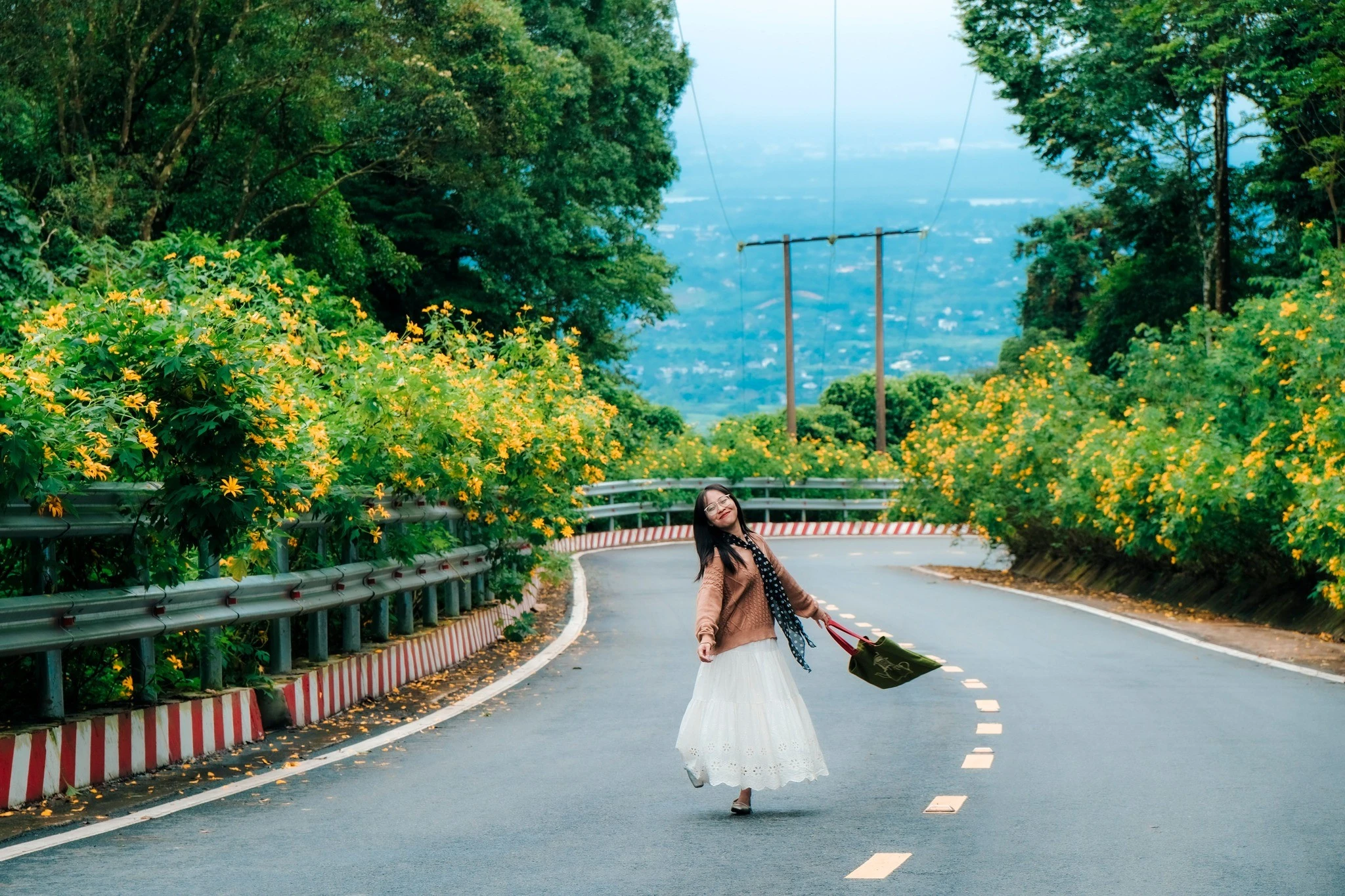 Dã quỳ vàng rực giữa núi rừng Ba Vì, gọi mời du khách lên rừng 'săn' ảnh đẹp