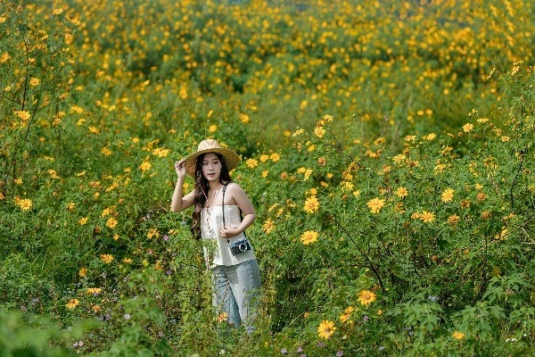 Sân bay cũ Cam Ly điểm đến tuyệt vời ngắm mùa dã quỳ Đà Lạt