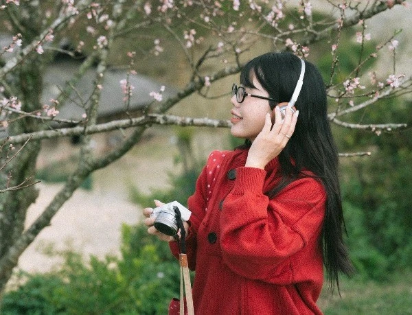 Hoa đào nở sớm nơi rẻo cao Tà Xùa, hút du khách checkin giữa núi rừng Tây Bắc