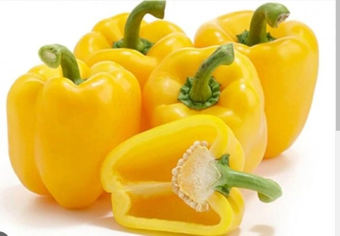 Loại quả ‘vàng’ giàu vitamin, tốt cho cho tim mạch, não bộ và hệ miễn dịch