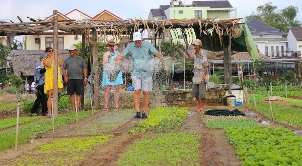 View - Trải nghiệm làm nông dân ở làng rau 400 tuổi giữa lòng Hội An | Báo Tri thức và Cuộc sống - TIN TỨC PHỔ BIẾN KIẾN THỨC 24H