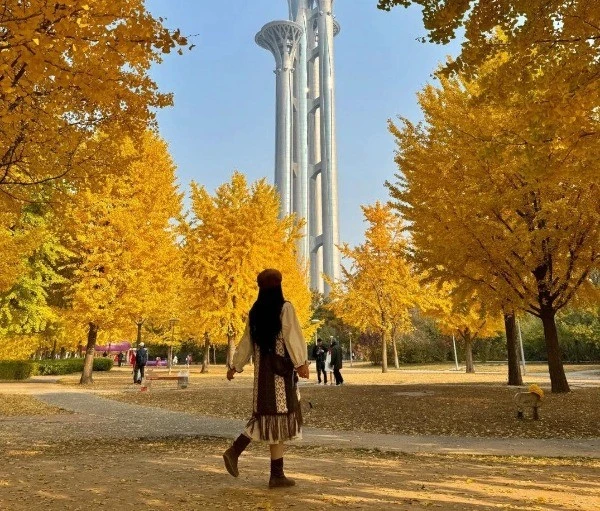 'Săn' mùa thu vàng ở Bắc Kinh, chọn tour nào để trọn vẹn hành trình?