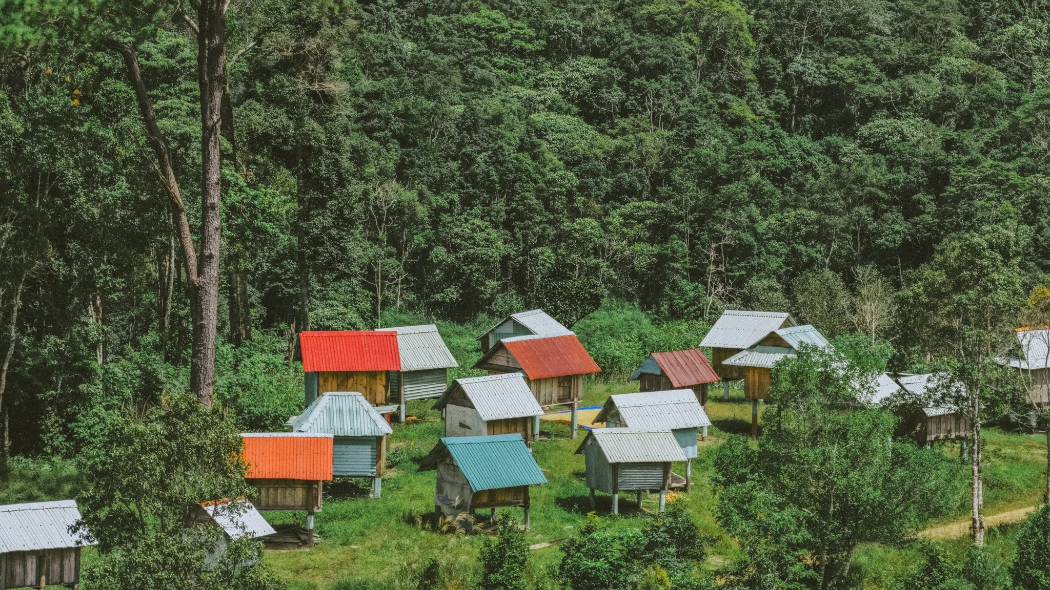 Kho lúa Măng Đen có gì hấp dẫn khiến du khách mê mẩn tới check-in?