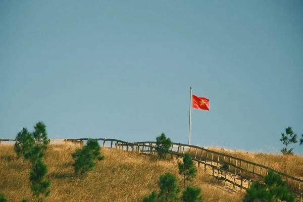 Ngỡ ngàng trước những đồi cỏ cháy đẹp mê hoặc ở Quảng Ninh