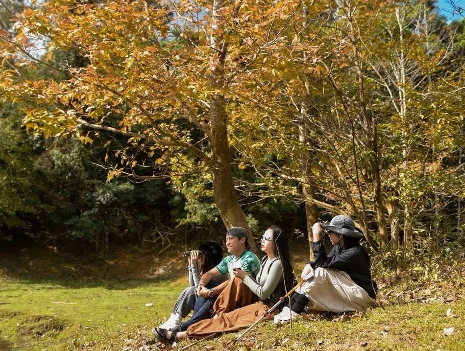 View - Mê mẩn rừng Phong Hương Quảng Trị mùa lá đổi sắc đẹp tựa châu Âu | Báo Tri thức và Cuộc sống - TIN TỨC PHỔ BIẾN KIẾN THỨC 24H