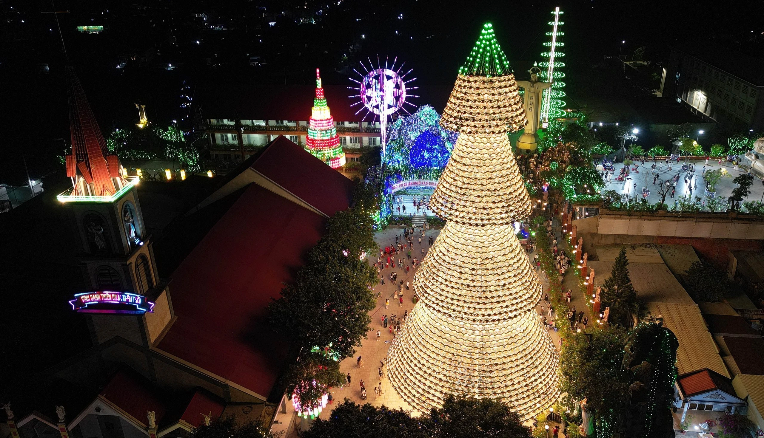 Cây thông nón lá độc đáo cao 35 m tại Đồng Nai thu hút du khách dịp Noel