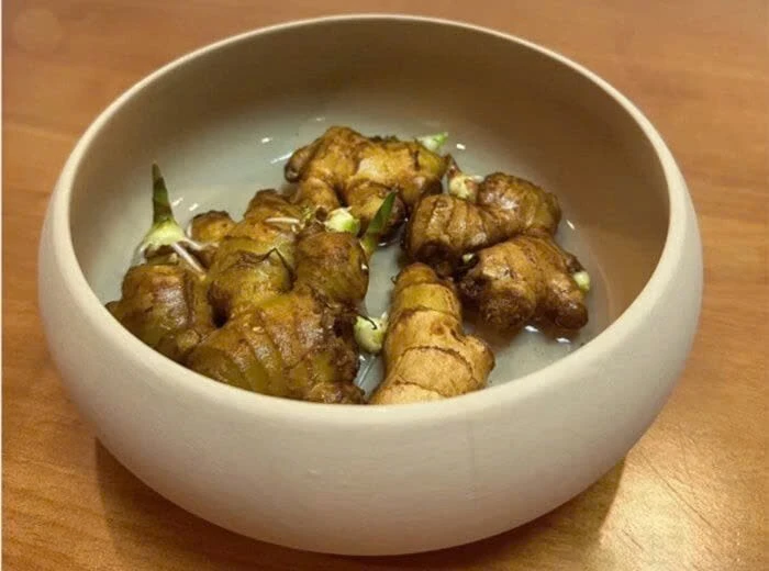 3 lỗi phổ biến khiến gừng bonsai thối sau vài ngày