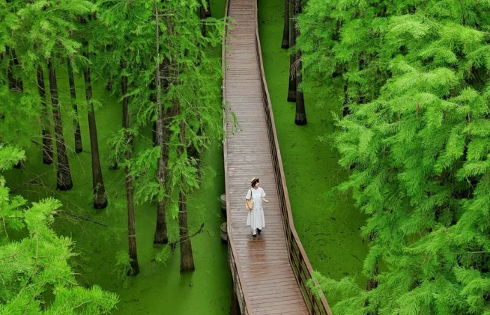 Hồ Thanh Sơn góc xanh bình yên khiến du khách say lòng ở Hàng Châu