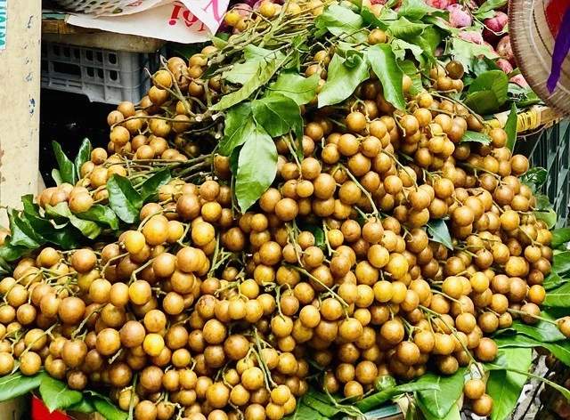 Loại quả 'nhỏ mà có võ' giúp tăng đề kháng, dưỡng da tươi trẻ