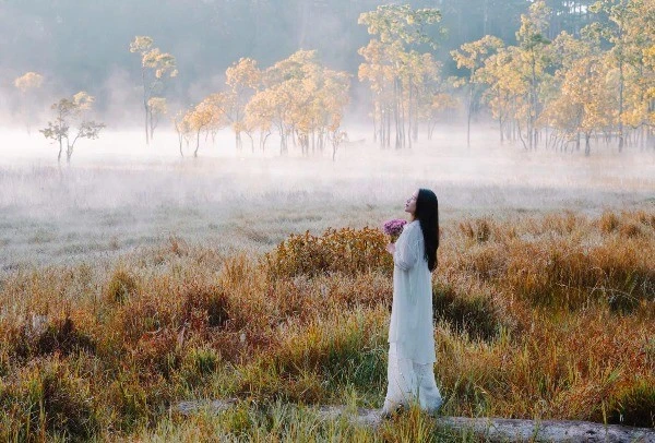 Suối Tía cõi tiên sương mờ hút hồn du khách giữa lòng Đà Lạt