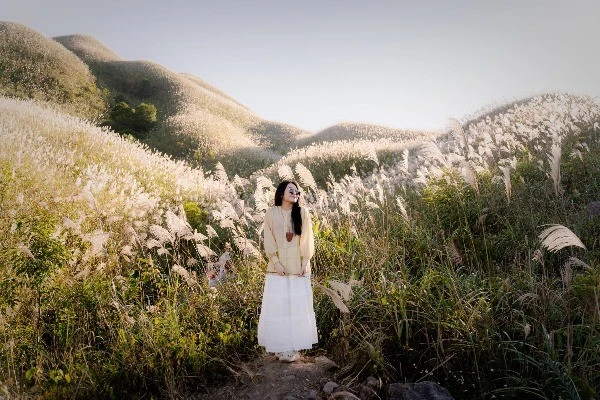 Mùa cỏ lau Bình Liêu 'gõ cửa' khiến dân mê chụp ảnh 'đứng ngồi không yên'